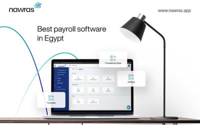 Best Payroll software in Egypt